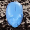 Trustee bank Canterbury savings bank Cute blue piggy bank