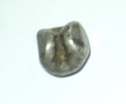 Kingdom of Siam/Thailand: 1 Baht Silver Bullet Money. - Image 2